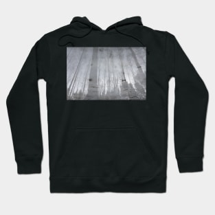 Landscape reflection from wet ice surface Hoodie